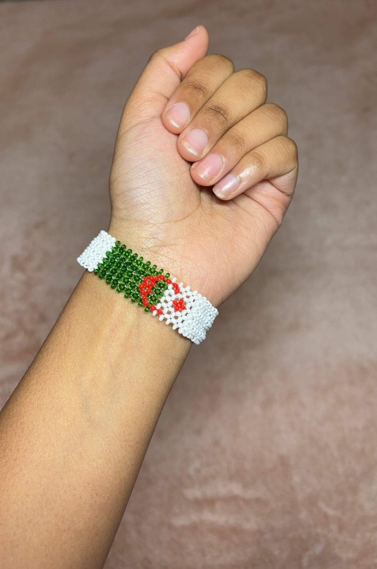 Algeria x palestine