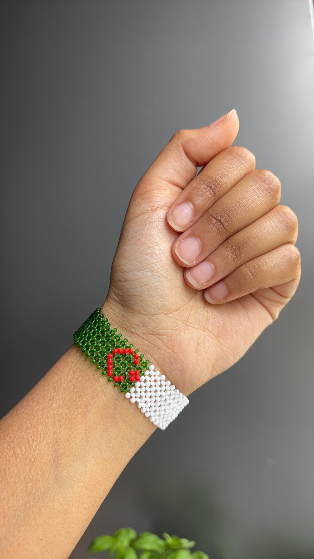 Morocco x algeria