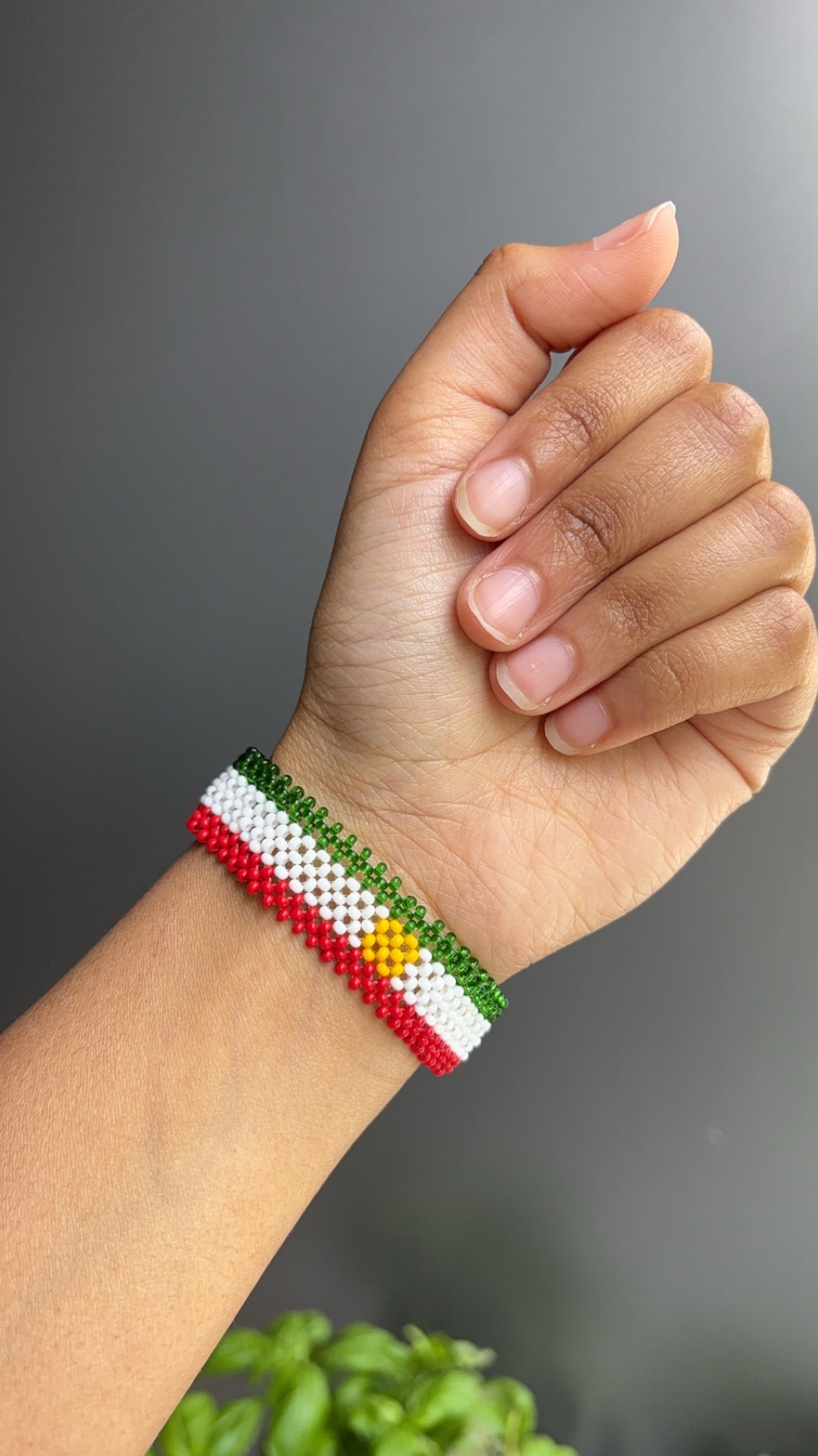 Kurdistan x iraqi