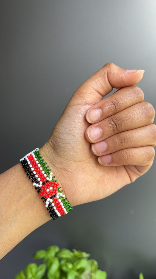 Kenya x nigeria
