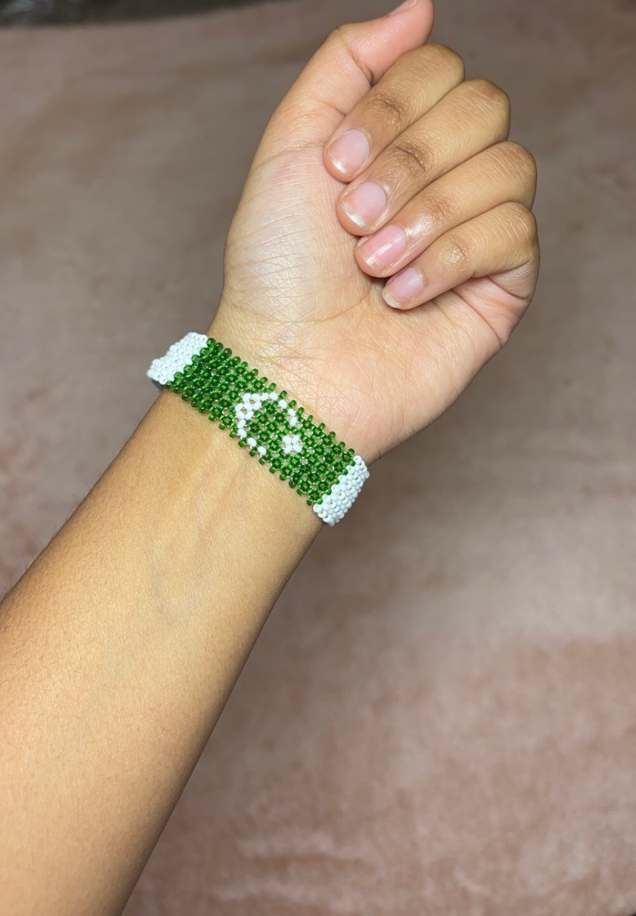 Algeria x palestine